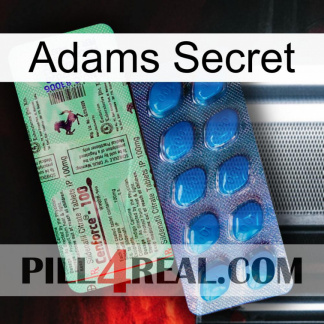 Adams Secret new02